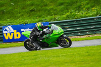 Lower Group Green Bikes
